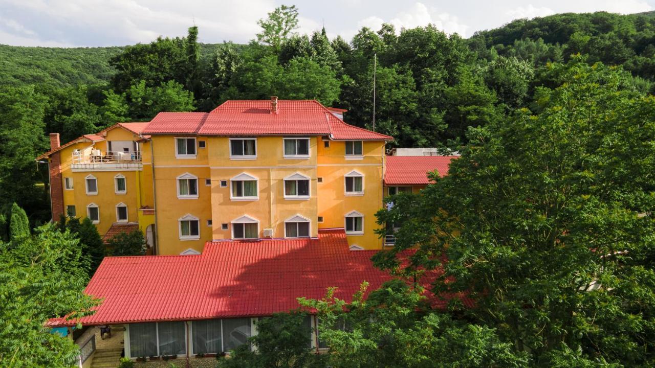 Aida Hotel Spa & Tratament Geoagiu Băi Exterior photo