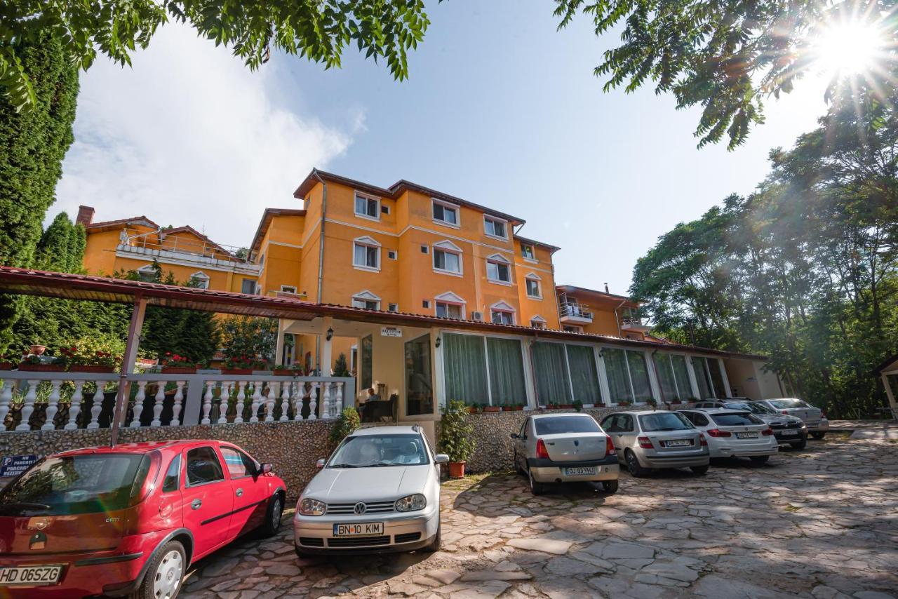 Aida Hotel Spa & Tratament Geoagiu Băi Exterior photo